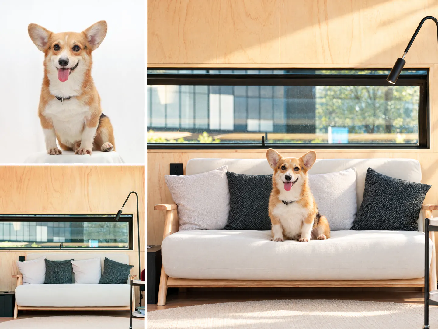 Deux images de référence à gauche, un corgi sur fond blanc et un salon avec un canapé blanc, et à droite l’image générée par IA du corgi assis sur ce canapé